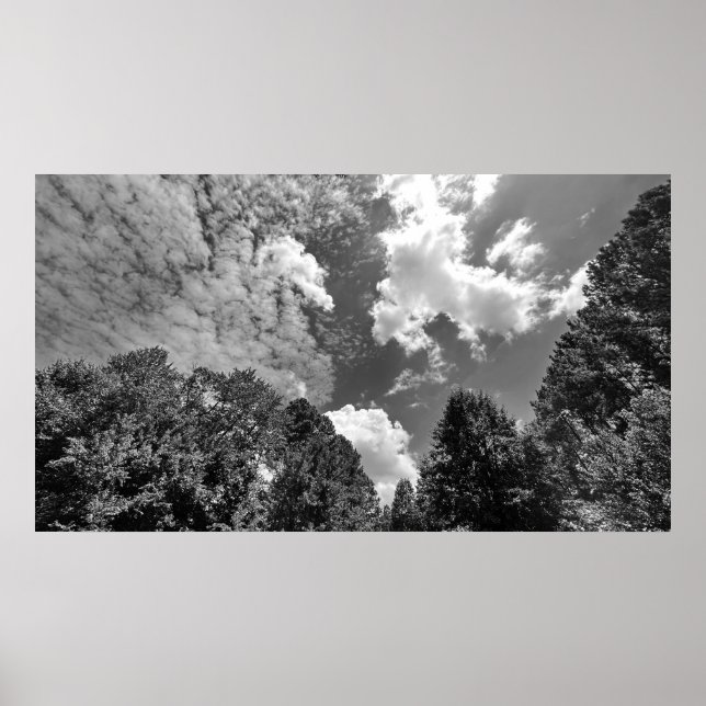 Cloudy Himmel, Poster (Framsidan)