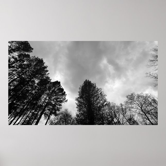 Cloudy Himmel, Poster (Framsidan)