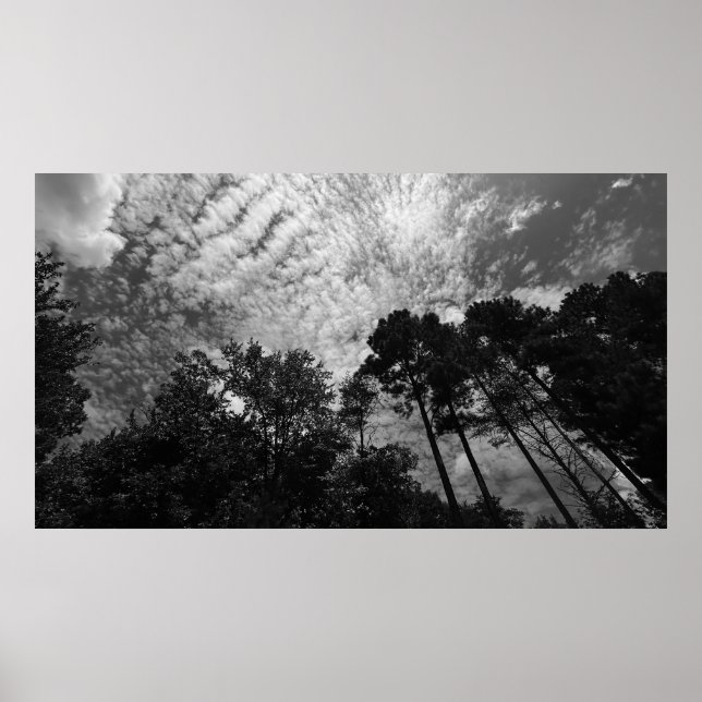 Cloudy Himmel, Poster (Framsidan)