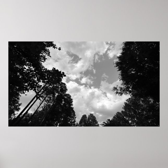 Cloudy Himmel, Poster (Framsidan)