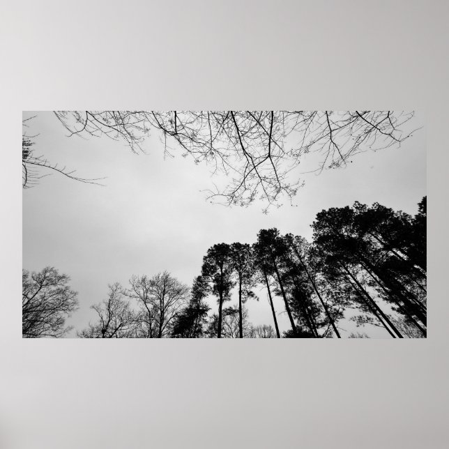 Cloudy Himmel, Poster (Framsidan)