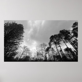 Cloudy Himmel, Poster