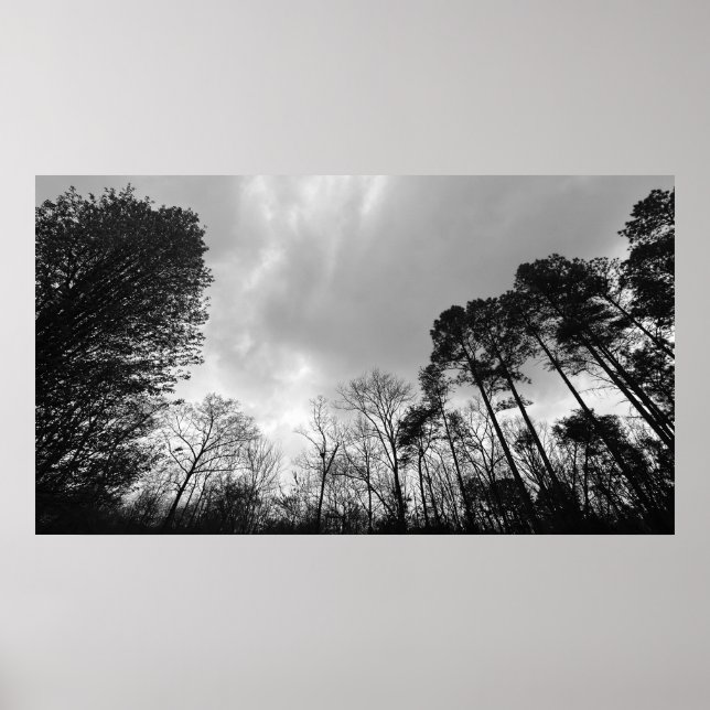 Cloudy Himmel, Poster (Framsidan)