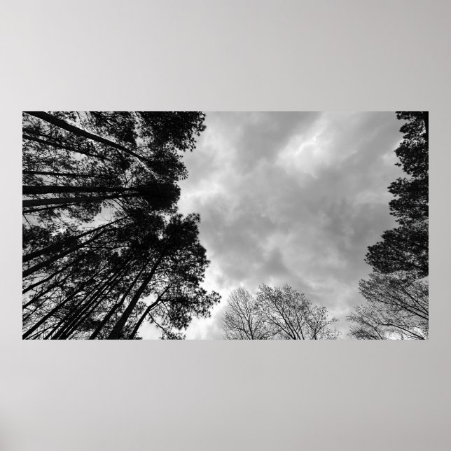 Cloudy Himmel, Poster (Framsidan)