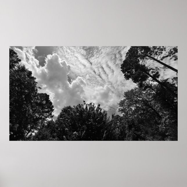 Cloudy Himmel, Poster (Framsidan)