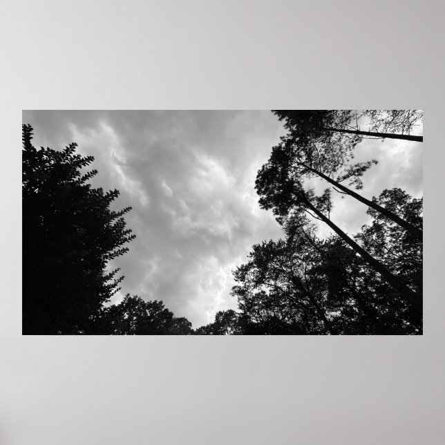 Cloudy Himmel, Poster (Framsidan)