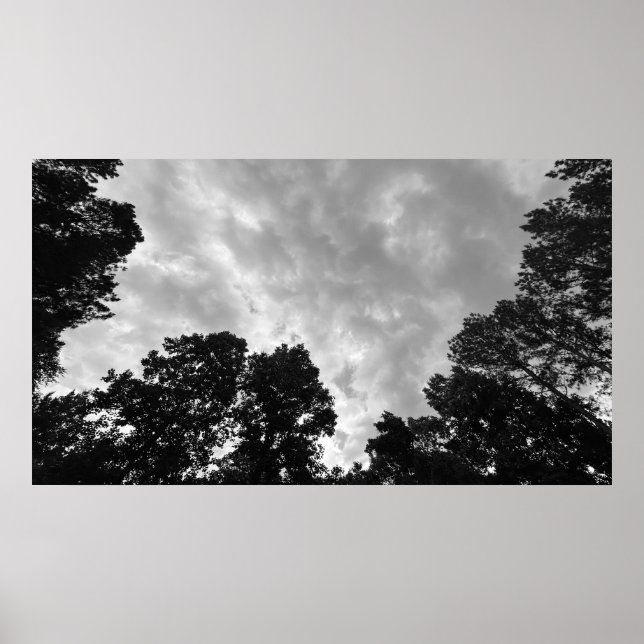 Cloudy Himmel, Poster (Framsidan)
