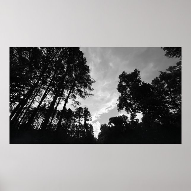 Cloudy Himmel, Poster (Framsidan)