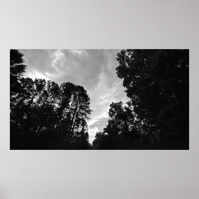 Cloudy Himmel, Poster (Framsidan)