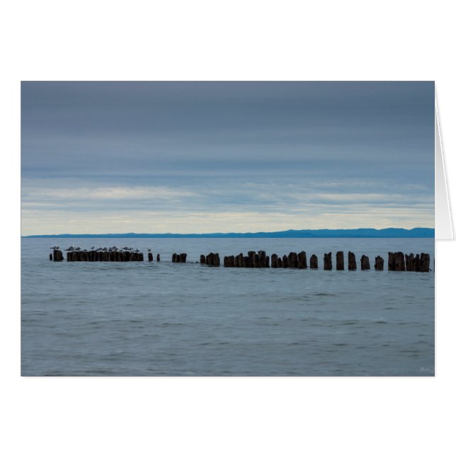 Cloudy i Whitefish Bay OBS Kort (Framsidan Horizontal)