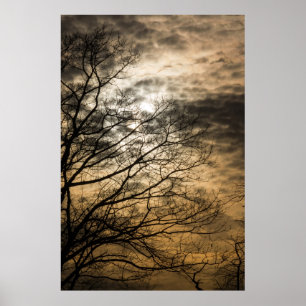 Cloudy Sol Scene Poster