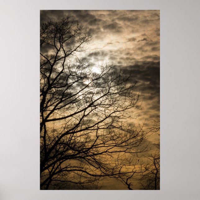 Cloudy Sol Scene Poster (Framsidan)