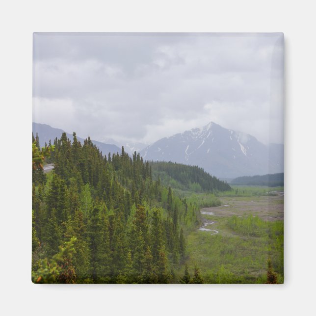 Cloudy vid Denali Magnet (Framsidan)