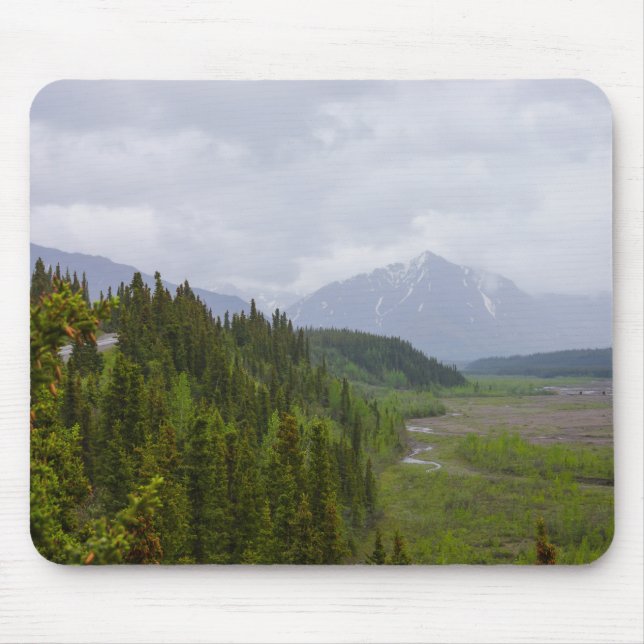 Cloudy vid Denali Musmatta (Framsidan)