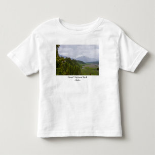Cloudy vid Denali T Shirt