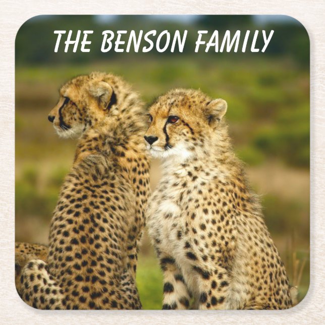 Cloup Vild Cheetahs Underlägg Papper Kvadrat (Framsidan)