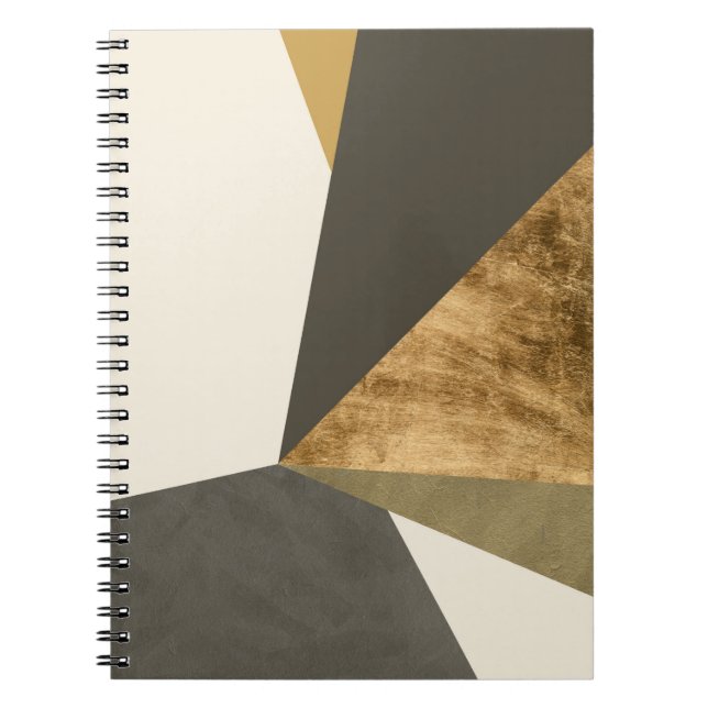 Clovis II Anteckningsbok (Framsidan)