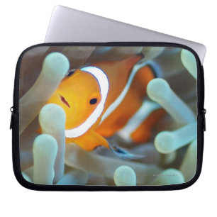 Clown Anemonefish Laptop Fodral