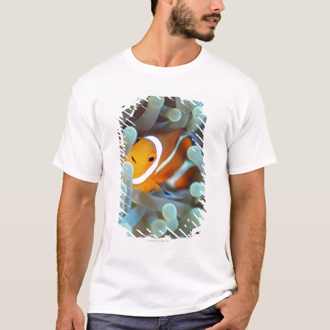 Clown Anemonefish Tee (Framsida)