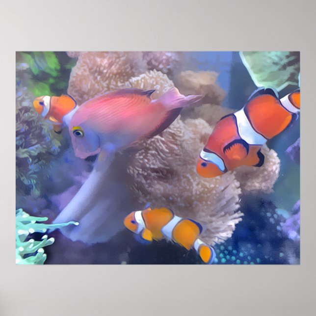 Clown Fish Aquarium Poster (Framsidan)