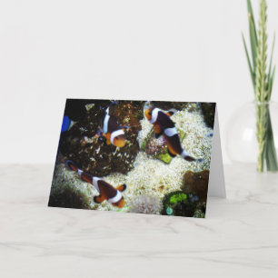 "Clown Fish"-födelsedagskort Kort
