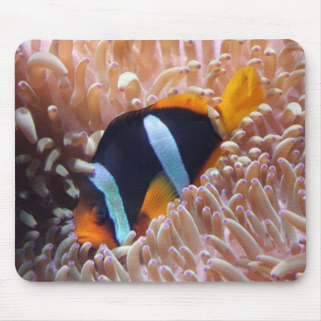 Clown Fish Mousepad Musmatta (Framsidan)