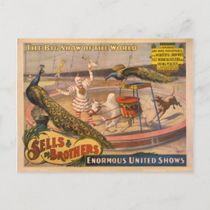 Clown, Zebu och Peacock Circus Poster Vykort