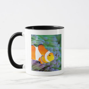 Clownanemonefish Mugg