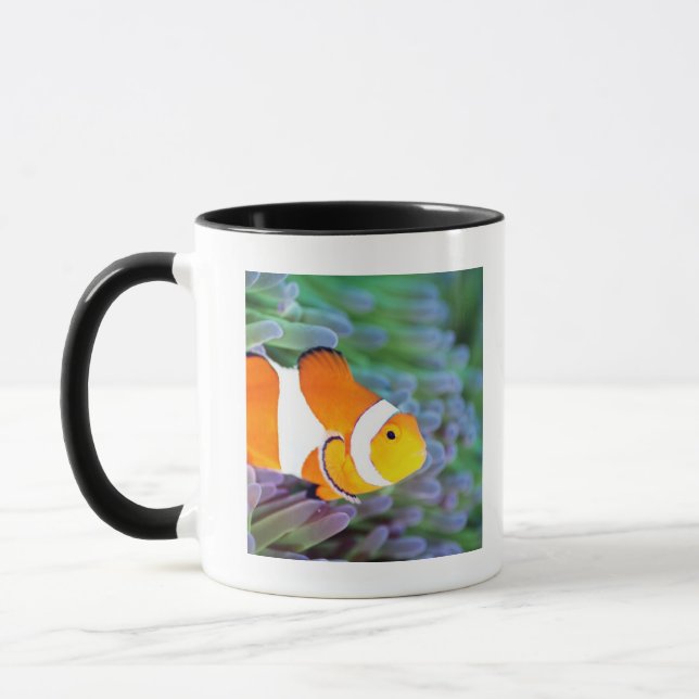 Clownanemonefish Mugg (Vänster)