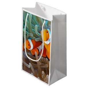 Clownfish