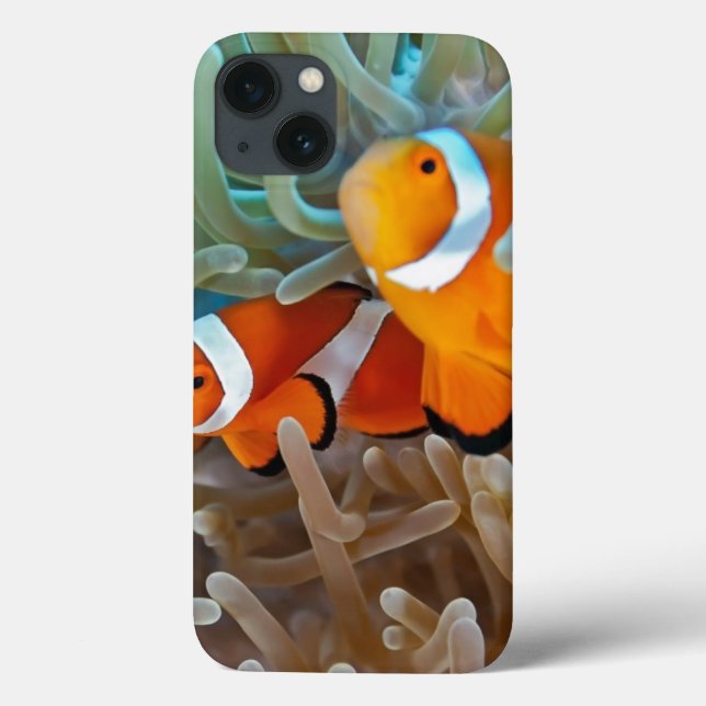 Clownfish (Baksida)