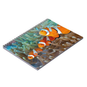 Clownfish Anteckningsbok Med Spiral