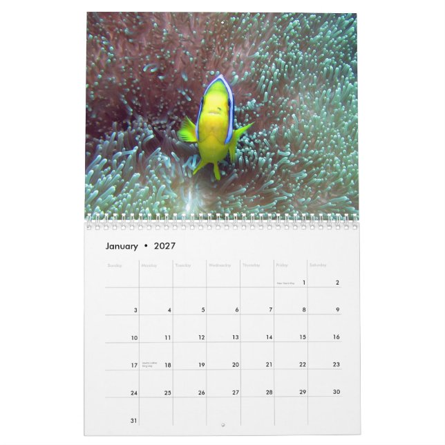 Clownfish av den Fiji 2015 kalendern Kalender (Jan 2027)