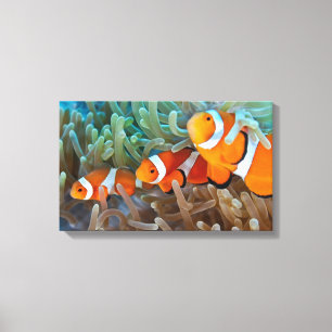 Clownfish Canvastryck