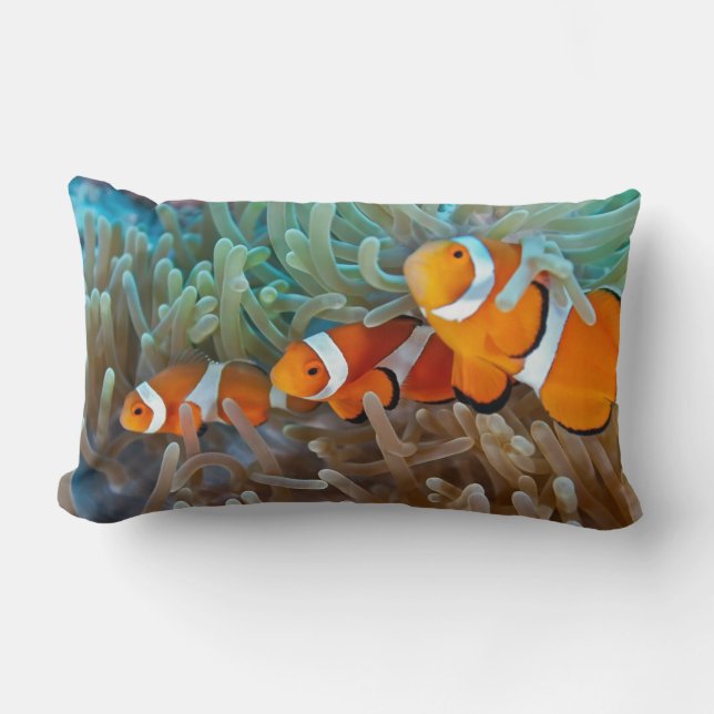 Clownfish Lumbarkudde (Framsida)