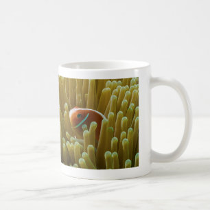Clownfish på den underbara barriärrevkaffemuggen kaffemugg