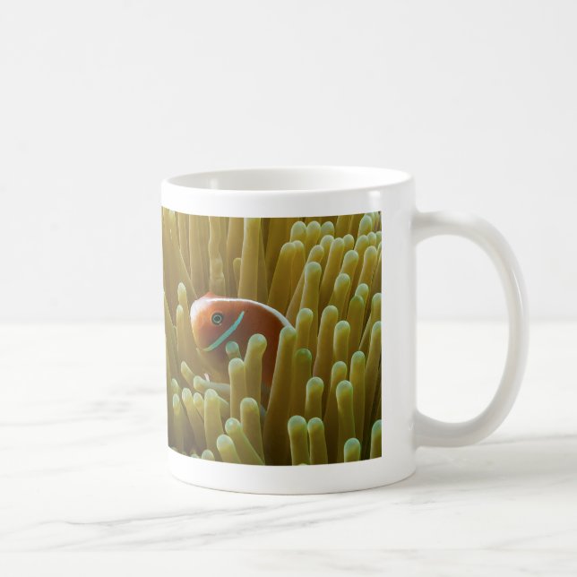 Clownfish på den underbara barriärrevkaffemuggen kaffemugg (Höger)