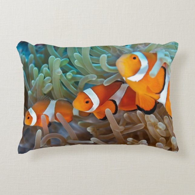 Clownfish Prydnadskudde (Framsidan)