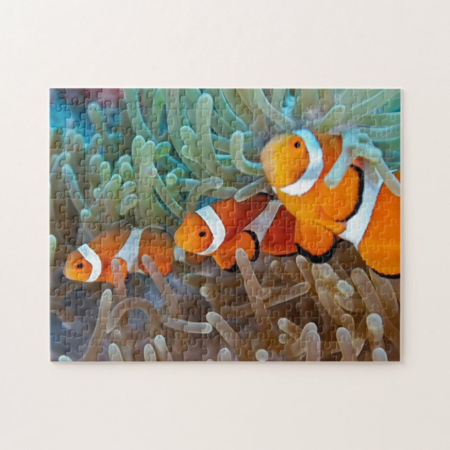 Clownfish Pussel (Horisontell)