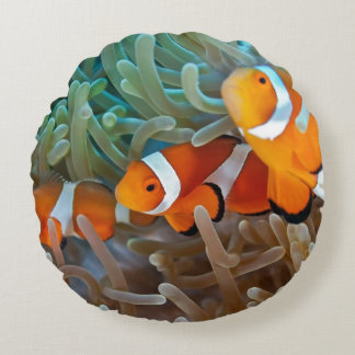 Clownfish Rund Kudde