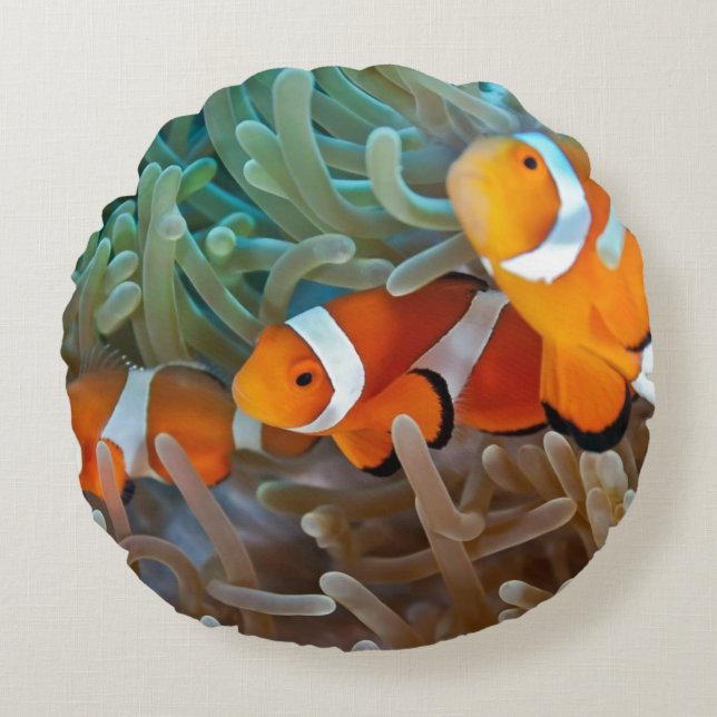Clownfish Rund Kudde (Framsidan)