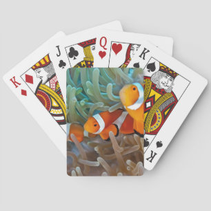 Clownfish Spelkort