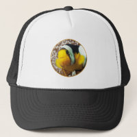 Clownfish - stäng upp! Rund fotodesign |