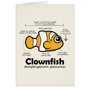 Clownfish statistik hälsningskort