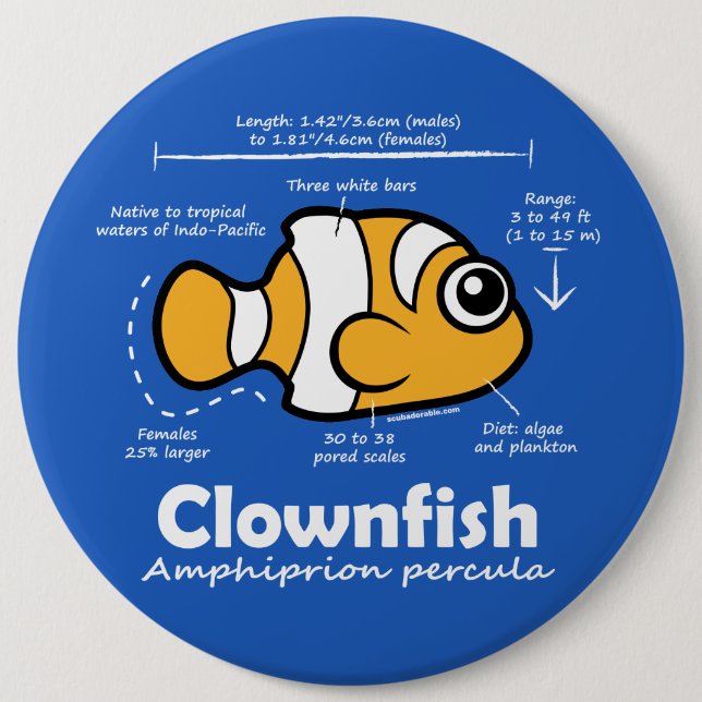 Clownfish statistik knapp (Framsida)