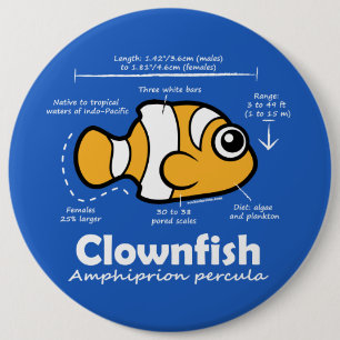 Clownfish statistik knapp
