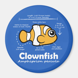 Clownfish statistik magnet