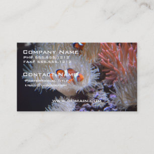Clownfish Visitkort