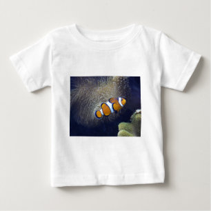 clownfisk, 2 t-shirt