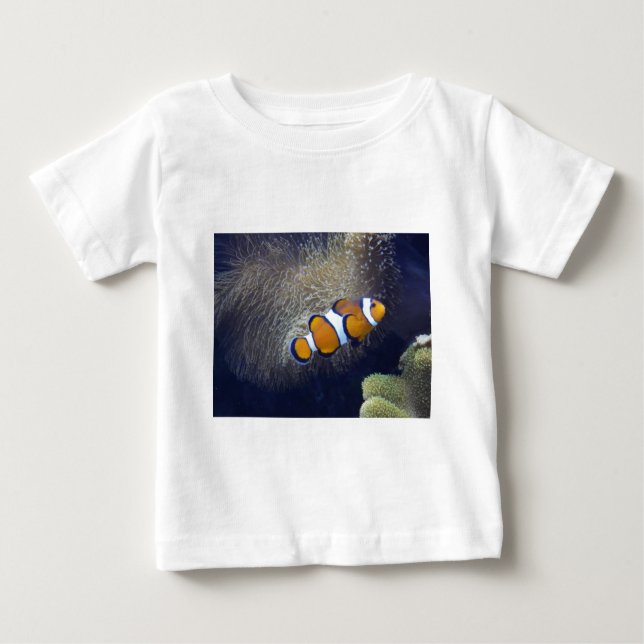clownfisk, 2 t-shirt (Framsida)